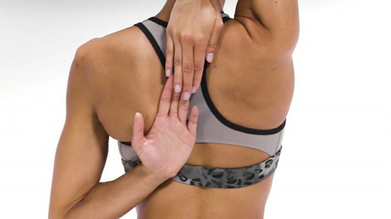 Mychos.shopc0e9c44f79 2